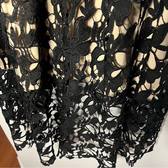 Elegant Black Lace Dress - Picture 6 of 7